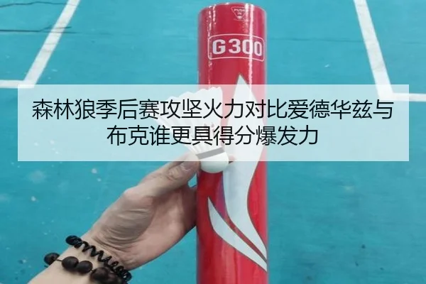 森林狼季后赛攻坚火力对比爱德华兹与布克谁更具得分爆发力